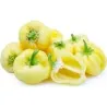 Semillas pimiento blanco dulce DIAMOND