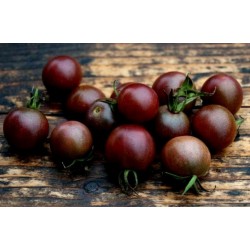 Kirsch - Schwarze Tomate Black Cherry Samen