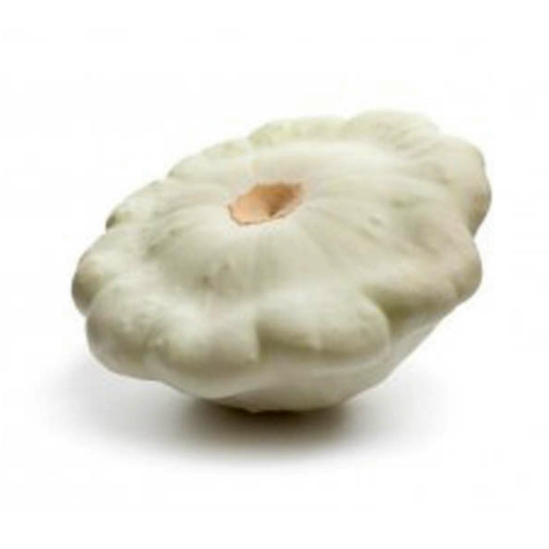 Weiße Patisson Samen (Cucurbita pepo 'Patisson Blanc') 1.95 - 1