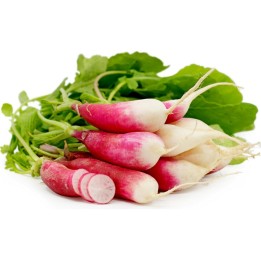 Sementes de Rabanete Flamboyant 3 - 1.395