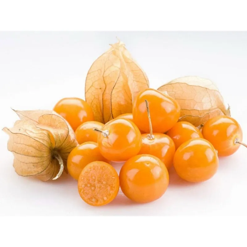 Kapstachelbeere Samen (Physalis peruviana)