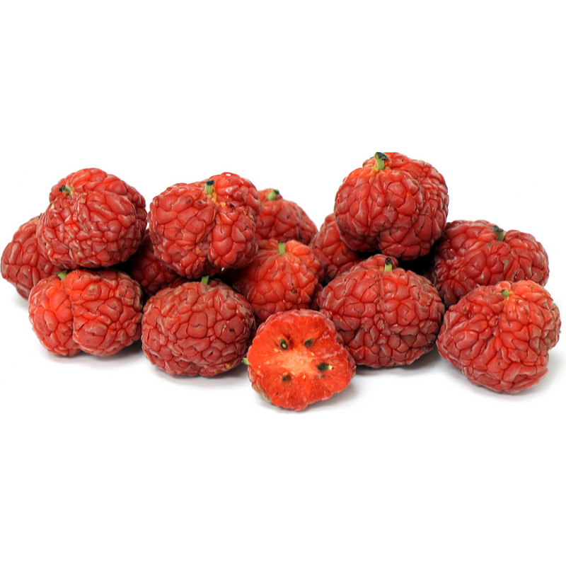Price: €2.95 - Sementes De Chinês Amora vermelha - Che Chinês (Maclura tricuspidata) - 