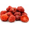 Price: €2.95 - Sementes De Chinês Amora vermelha - Che Chinês (Maclura tricuspidata) - 