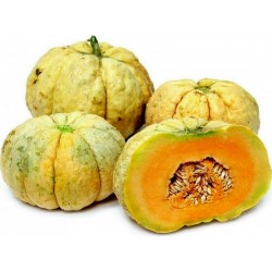 Price: €1.95 - Σποροσ Πεπονι PRESCOTT FOND BLANC - Seeds Gallery