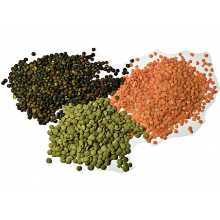 Price: €1.85 - Socivo ili Leca Seme (Lens culinaris) - 
