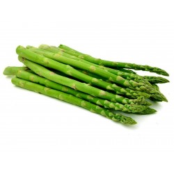 Graines d'asperge - Asparagus officinalis 1.65 - 2