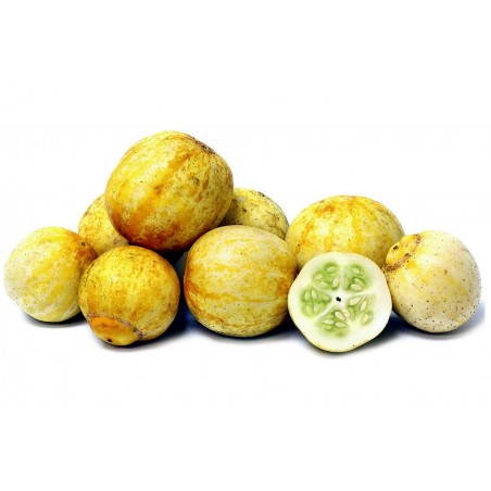Citrongurka Frön (Lemon Cucumber) | 2,25 €