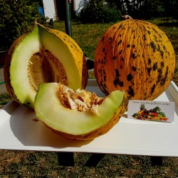 Price: €2.55 - Θρακιώτικο πεπόνι σπόροι - Seeds Gallery