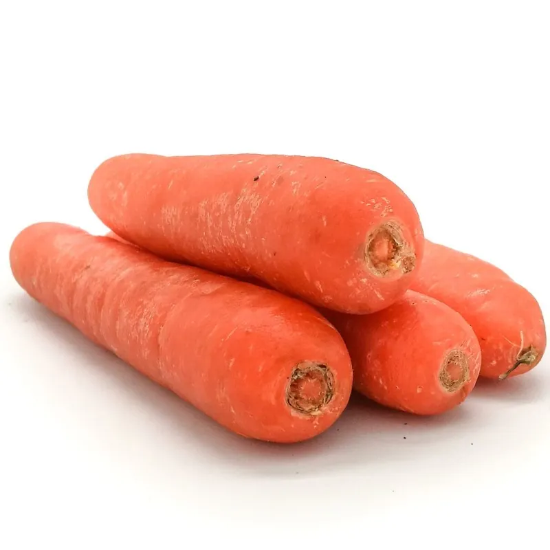 Flakkee Karottensamen