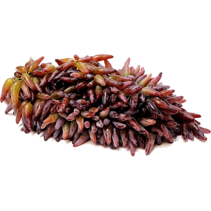 Witch Finger Grape Seeds - 2.25