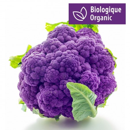 Price: €2.75 - Sementes de Couve Flor Roxa -