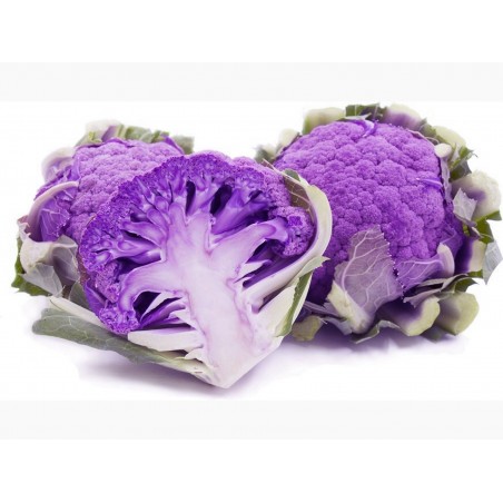 Price: €2.75 - Sementes de Couve Flor Roxa -