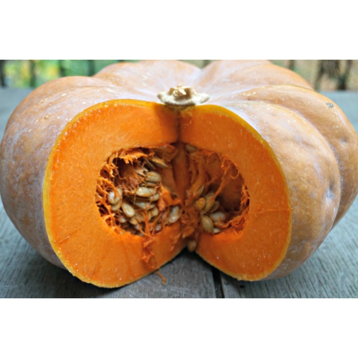 Musquee De Provence Pumpkin Seeds - 1.485