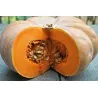 Musquee De Provence Pumpa Fröer