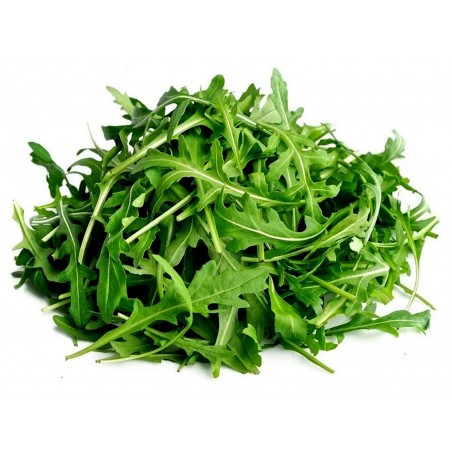 Price: €2.15 - 600 Samen Garten-Senfrauke -