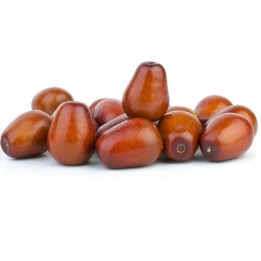 Nasiona Ziziphus jujube (daktylowiec chiński) - 410.513513