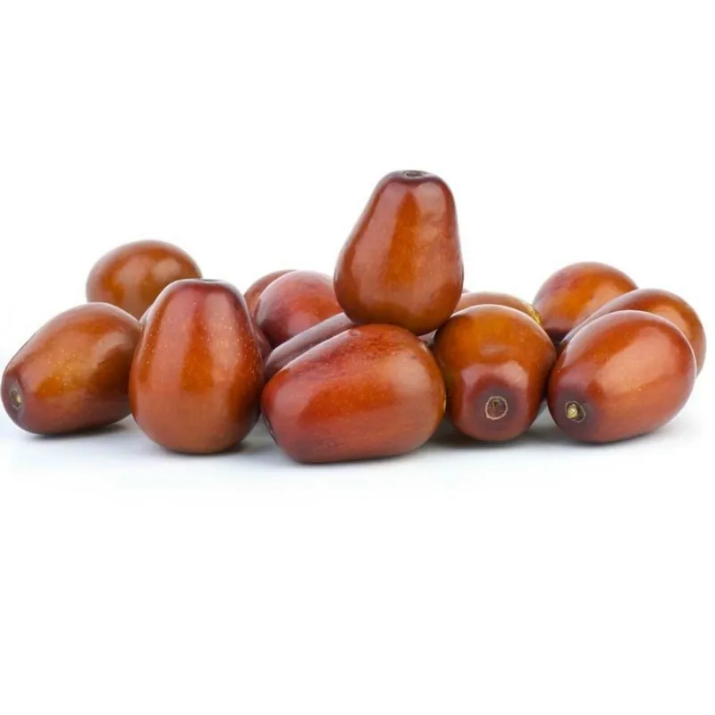 Semena Ziziphus jujube (Datlovník čínský)