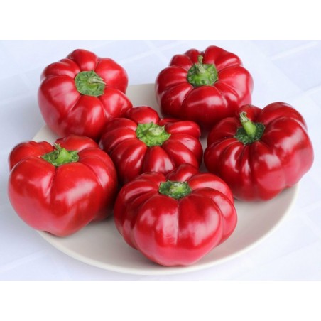 Price: €1.55 - GREYGO Hungarian sweet pepper seeds -