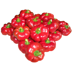 GREYGO Ουγγρικά πιπεριάς σπόροι 1.55 - 3
