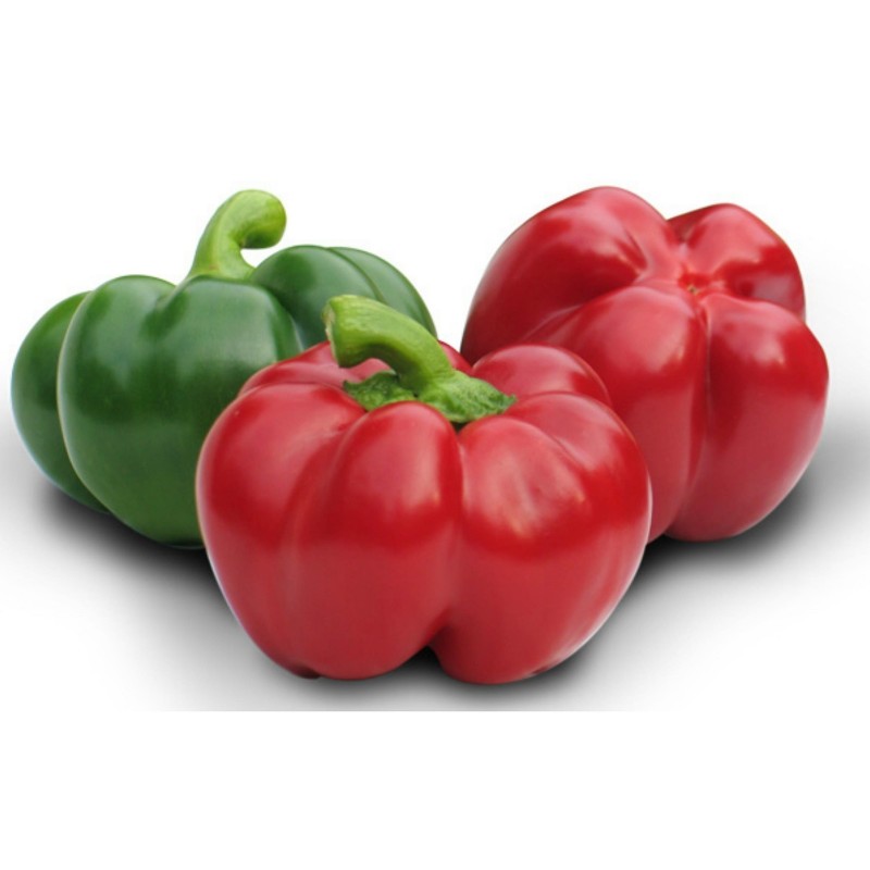 GREYGO Ουγγρικά πιπεριάς σπόροι 1.55 - 1