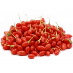 Price: €2.1 - Γκοτζι Μπερι, Goji Berry σποροι (Lycium chinense) - Seeds Gallery