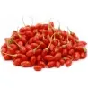 Semillas de Goji - Bayas Tibetanas (Lycium chinense)