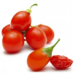 Graines Goji Berry (Lycium chinense) Rusticité: -45°C 1.55 - 4