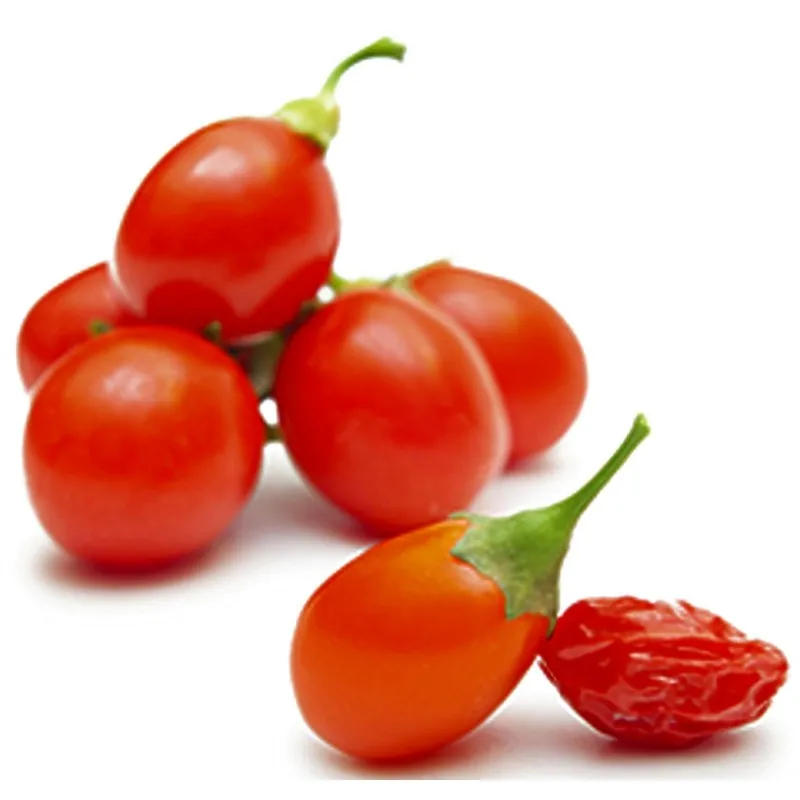 Goji zaden (Lycium chinense)
