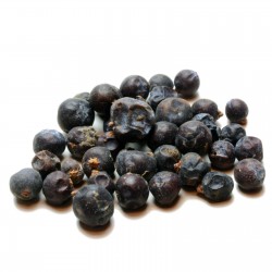 Juniper Berry Seeds (Juniperus communis) 1.65 - 4