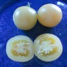 Snow White Cherry Tomat frön | 1,75 €