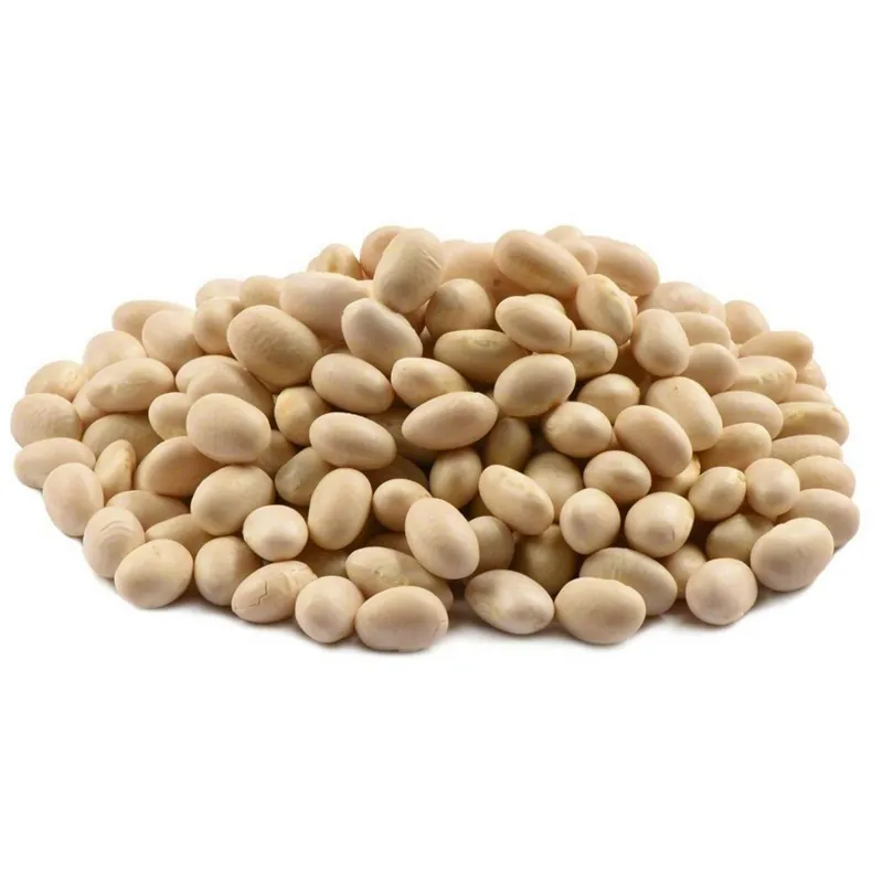 Semillas de frijol blanco Navy