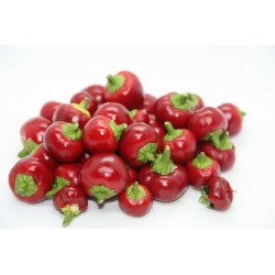 Price: €2.25 - SATANS KISS Σπόροι Τσίλι - πιπέρι - Seeds Gallery