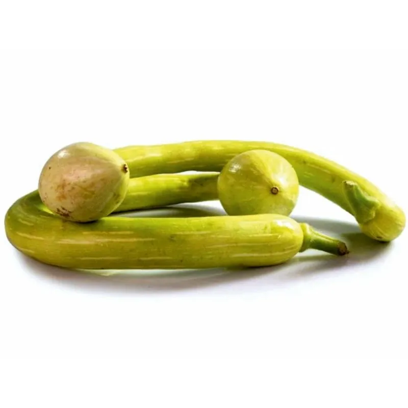 Semi di Zucca TROMBETTA D'ALBENGA