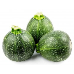 Price: €2.15 - Semi di Zucca Zucchino Tonda Chiara di Toscana - Seeds Gallery
