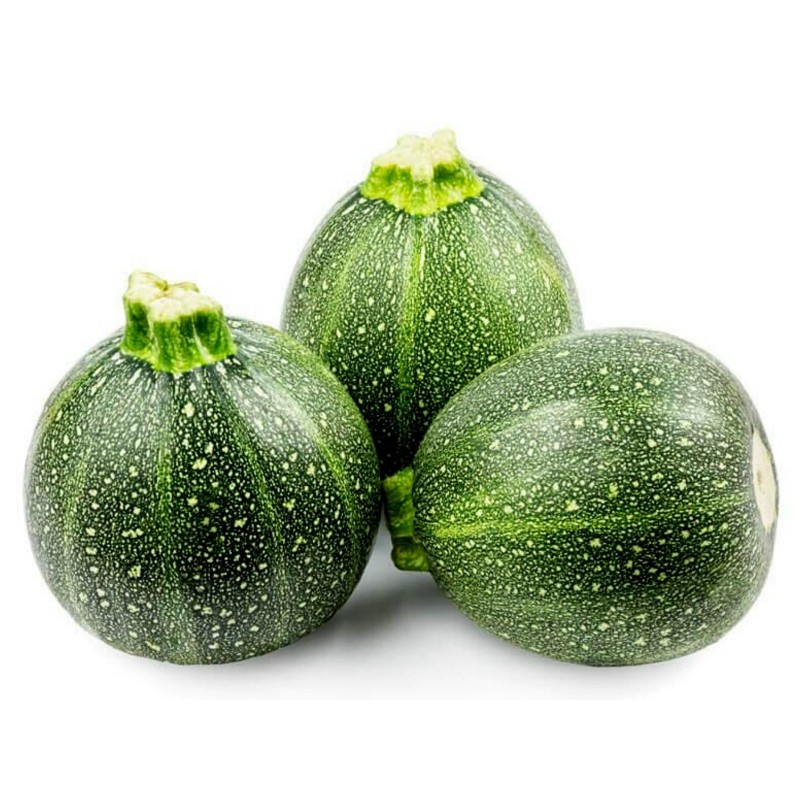 Price: €2.15 - Graines de courgette TONDA CHIARA DI TOSCANA - Seeds Gallery