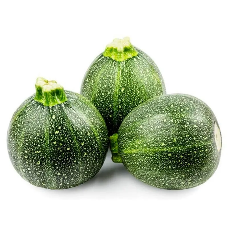 Sementes de abobrinha TONDA CHIARA DI TOSCANA