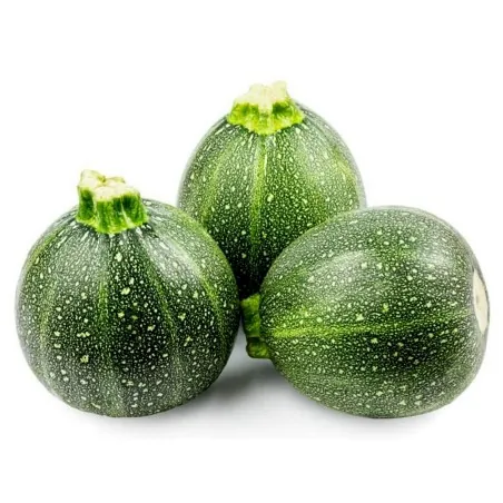 Sementes de abobrinha TONDA CHIARA DI TOSCANA
