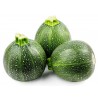 Price: €2.15 - Κολοκυθάκι στρογγυλό σπόροι TONDO CHIARO DI TOSCANA - Seeds Gallery