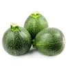 Sementes de abobrinha TONDA CHIARA DI TOSCANA