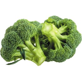 Ramoso Calabrese Broccoli - Sparriskål Frön - 1.755
