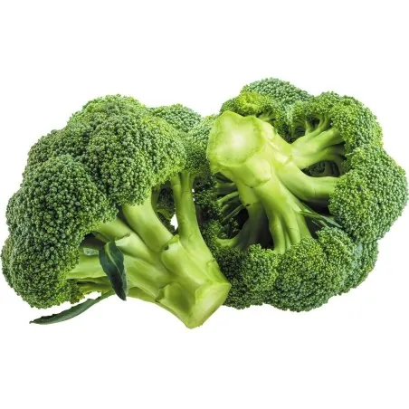 Semi di Broccolo Ramoso Calabrese