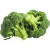 Semi di Broccolo Ramoso Calabrese