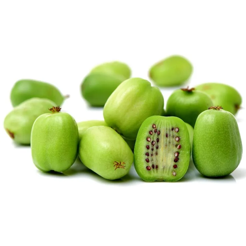 Semillas de Kiwi Hardy -34C (actinidia arguta)