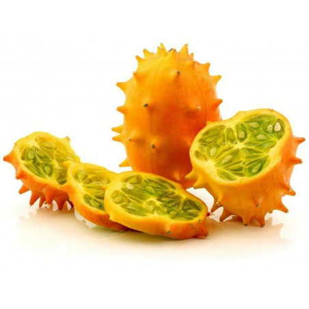 Price: €2 - Kiwano - Horngurka Frön (Cucumis metuliferus) - Seeds Gallery
