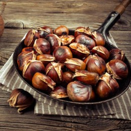 Semillas el Castaño (Castanea sativa) - 1055.606175