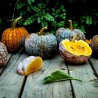 Price: €2.35 - FUTSU BLACK Japanische Kürbis Samen - Bio - Seeds Gallery