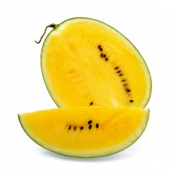 100 Samen JANOSIK Gelbe Wassermelone  - 1