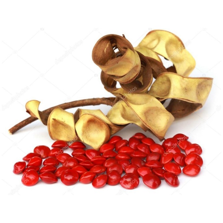 Red Lucky Seed - Red sandalwood Seeds (Adenanthera pavonina) - 2.295