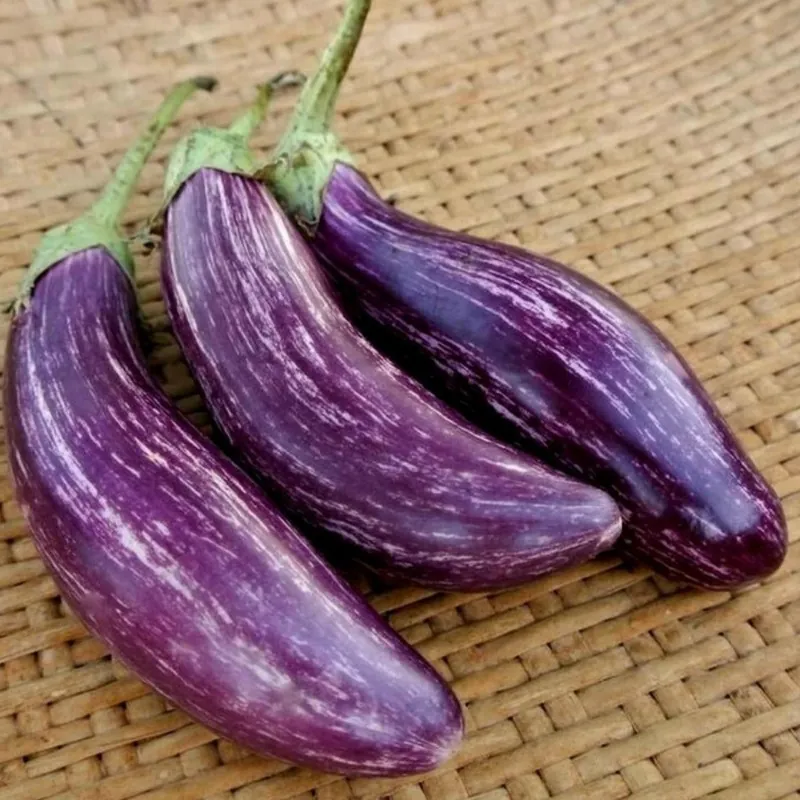 Grekiska auberginefrön TSAKONIKI