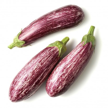 Price: €1.75 - Greek Eggplant Seeds TSAKONIKI - Seeds Gallery